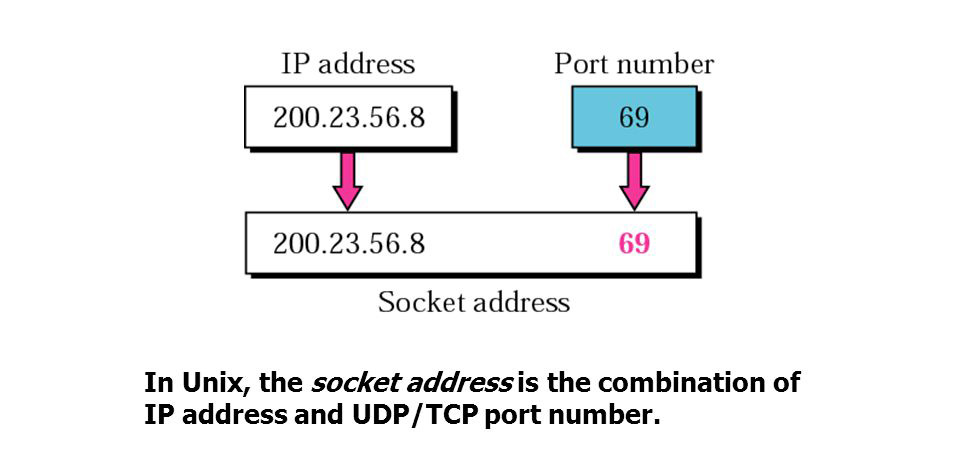 Differenza tra Indirizzo IP e Porta in informatica