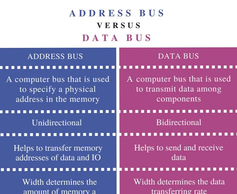 Differenza tra bus indirizzi e bus dati in informatica
