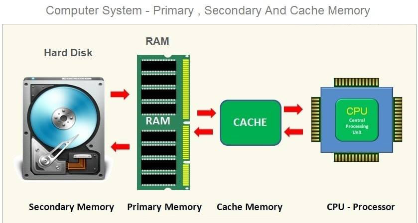 Differenza tra memoria primaria e secondaria in informatica