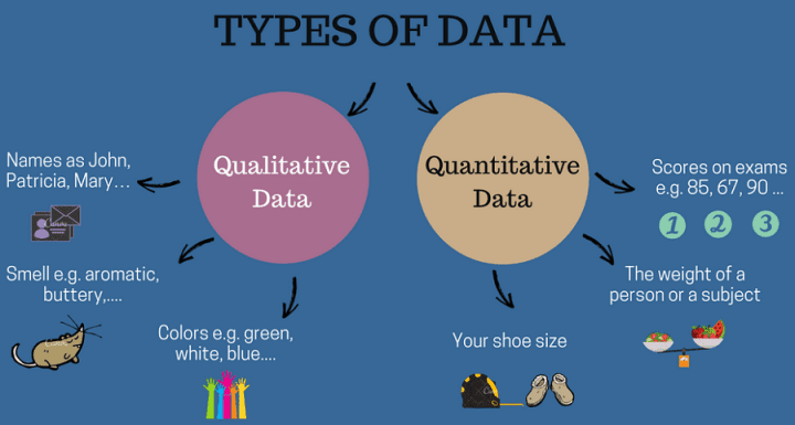 Differenza tra dati qualitativi e dati quantitativi con esempi