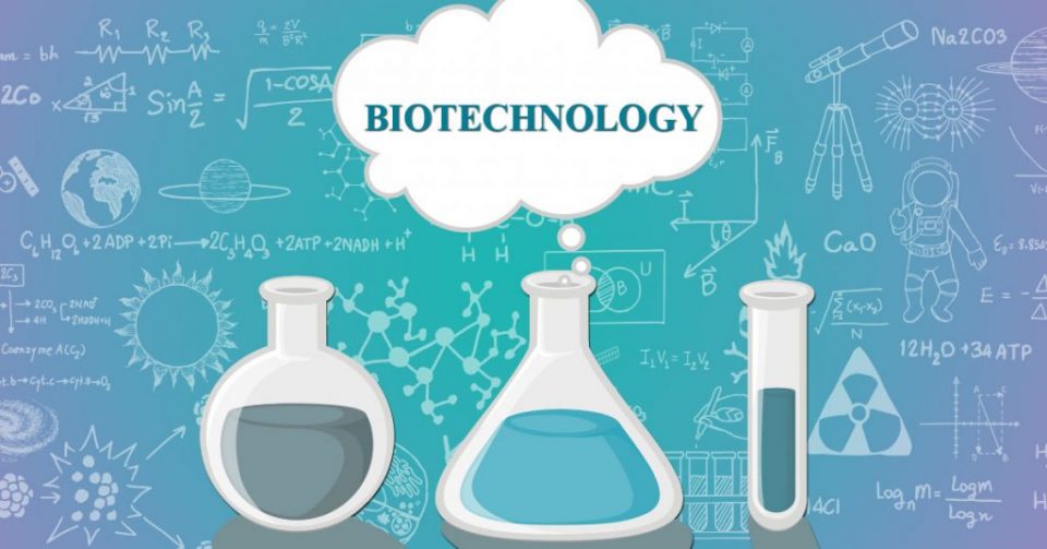 Aspetti ed effetti positivi e negativi delle biotecnologie