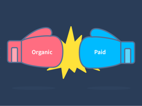 Differenza tra copertura organica e a pagamento sulle piattaforme di social media