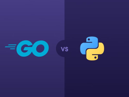 Caratteristiche e differenza tra Python e Go in informatica